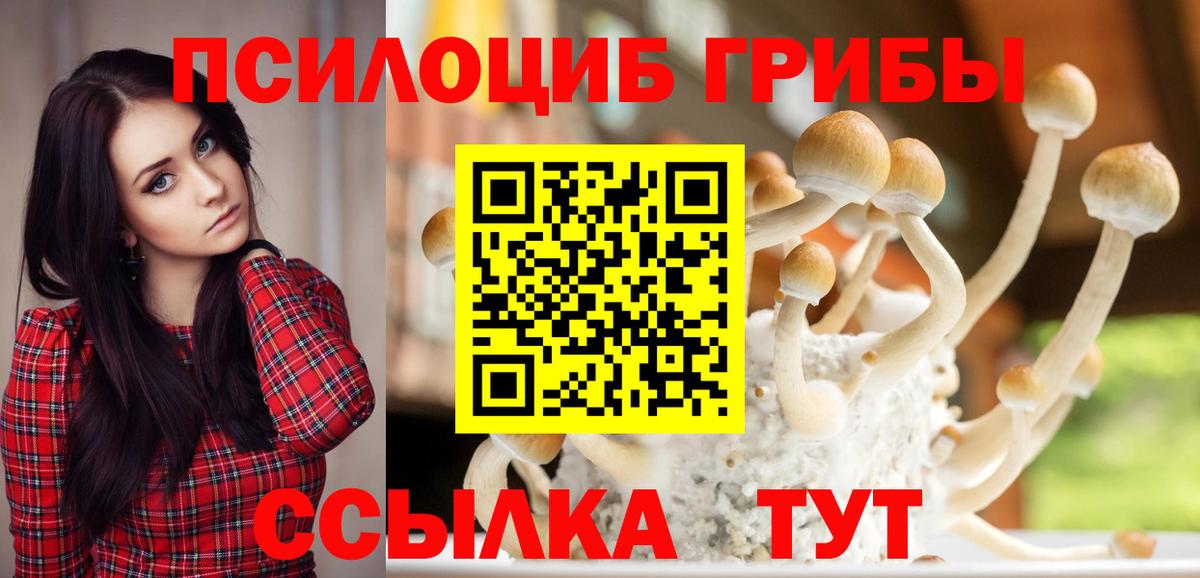 Галлюциногенные грибы мухоморы  Вход с VPN  Можга 